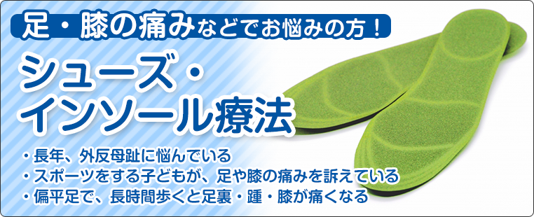 シューズ・インソール療法
